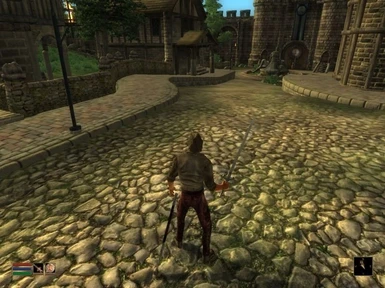 Remake of the classic Morrowind Hud