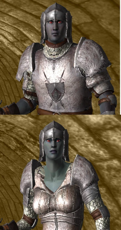 Altered Pauldrons and Helm