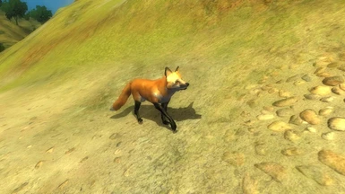 Fox02