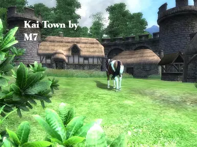 kt01