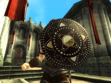Studed Leather Shield