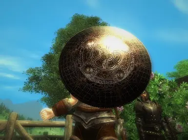 Turtle Shield