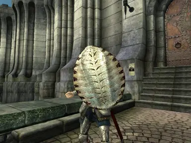 Skeleton Shield