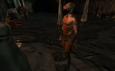 Veyond Cave Argonian 4