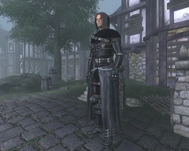 Assassin Elite Armor 05