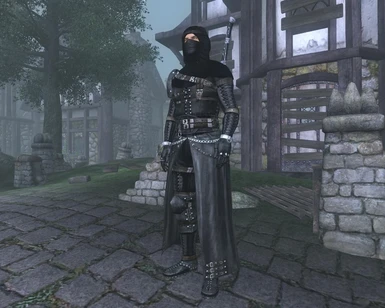 Assassin Elite Armor 06