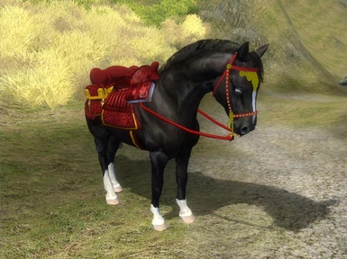 Black Horse with Red-gold Saddlebag