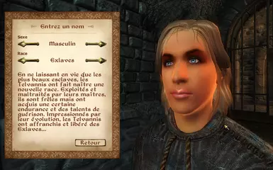 TÉLÉCHARGER MODS OBLIVION WIWILAND GRATUIT WIWILAND GRATUIT TÉLÉCHARGER MODS OBLIVION