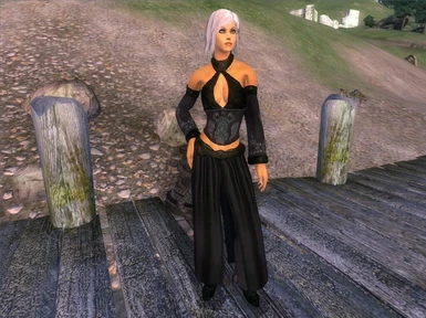 Rogue Mage Outfit 1