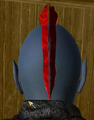 ss4