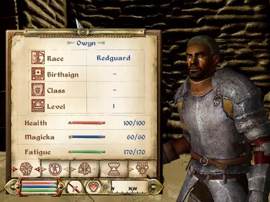 Owyn in player inventory