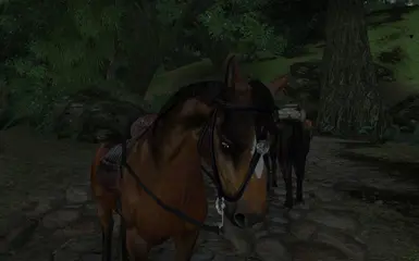 Nice_horse