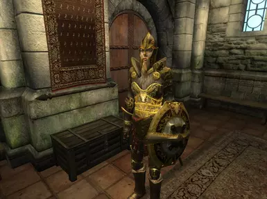 Heavy Armor