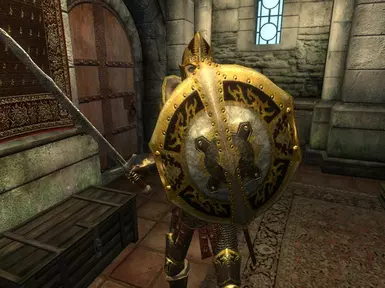 Heavy Shield