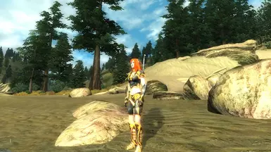Flame Atronach Armor