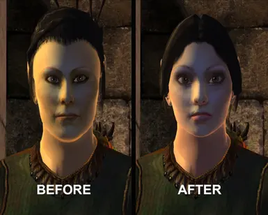 oblivion character overhaul mod writing on faces