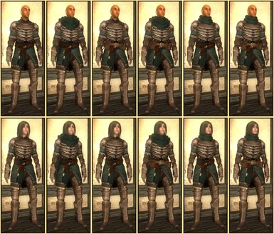 Woodland Elven Armor