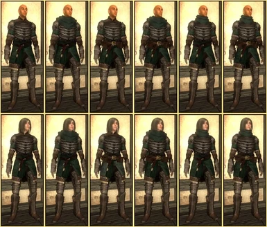 R-L Woodland Elven Armor