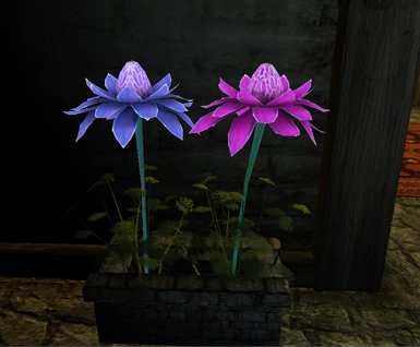 New Spell making and enchanting plants