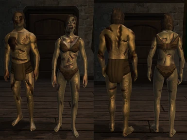 Decaying Body Textures
