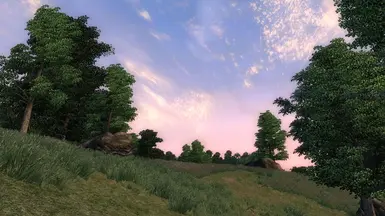 natural environments oblivion mod