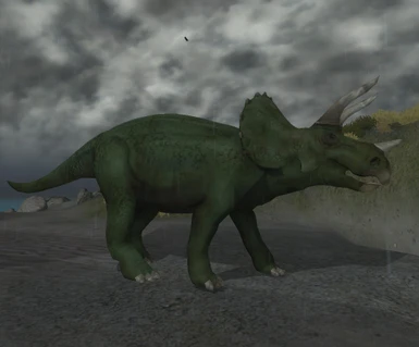 new triceratops texture 01