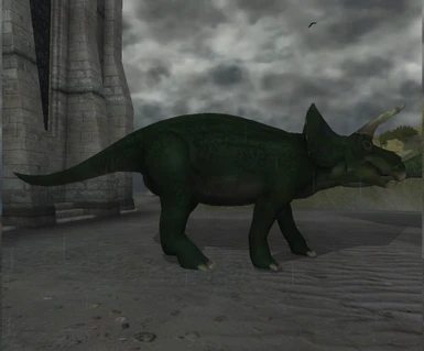 new triceratops texture 02