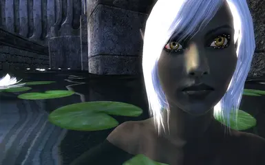 Brizraena 2