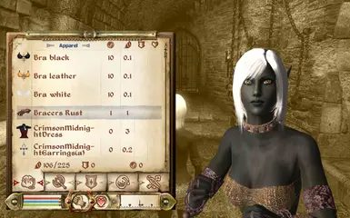 Brizraena 4