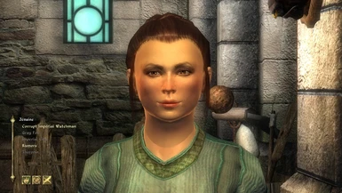 Oblivion Character Overhaul v2 without MAO