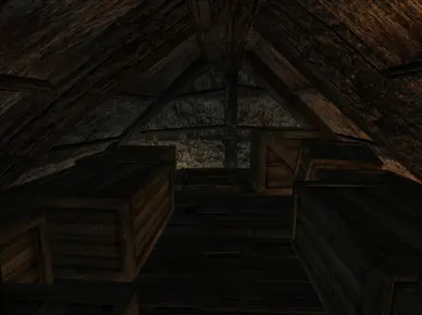 Interior Shot 06 Attic