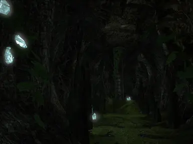 Underground Vineyard Entrance