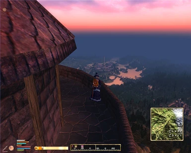 Imperial City from Mad Mages Tower