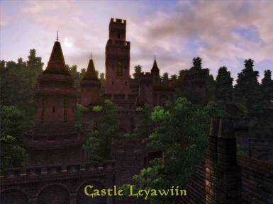 Castle Leyawiin