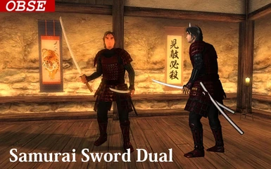 Samurai Sword Dual