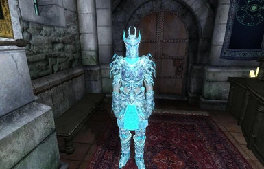 The armor