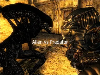 Freddy_sp2003