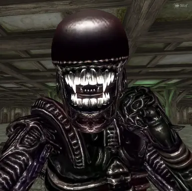 New Textures