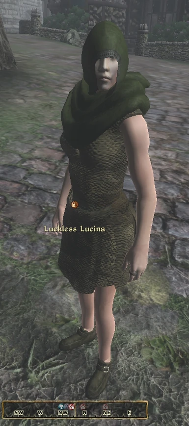 Luckless Lucina - Local Begger