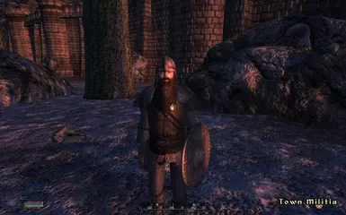 Town Militia