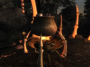 The Ritual Cauldron