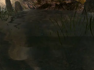 Where the entrance to the house portion of the mod is