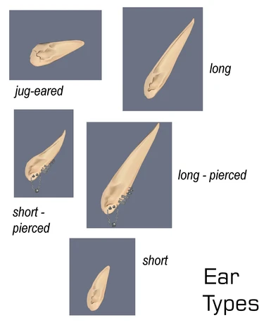 ear types