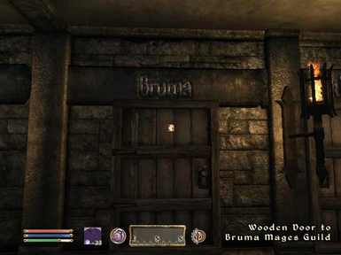 Mages Guild Door Example