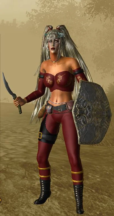 Beautiful Armor Female Ver