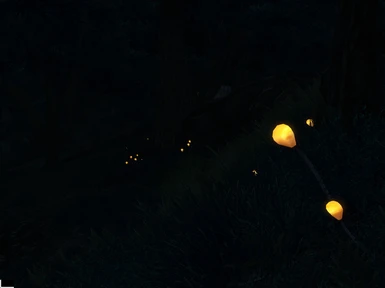Bog Beacons at night