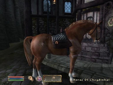 Horse of Cheydinhal