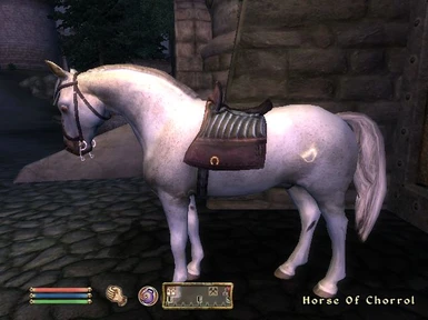 Horse Of Chorrol