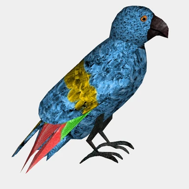 Parrot Render