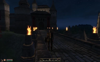 Skingrad castle AFTER plus Cities alive at night mod for the spotlight buildings